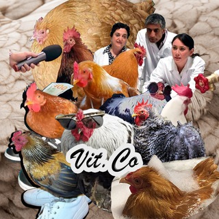 Telegram profile photo for Vit.Co ™