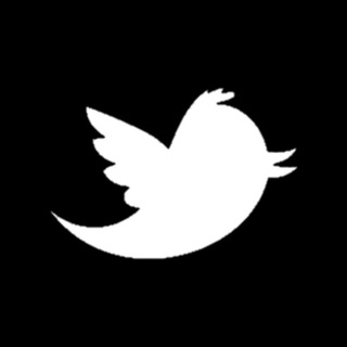 Telegram profile photo for WhitePeopleTwitter
