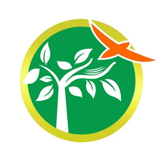 Telegram profile photo for کلینیک مشاوره روان شناختی رها