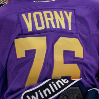 Telegram profile photo for Vorny