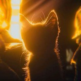 Telegram profile photo for Переезд