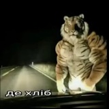 Telegram profile photo for Отзывы/пруфы