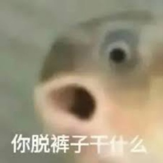 Telegram profile photo for 明眼人|安危事件头条