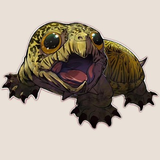 Telegram profile photo for Xo Turtle Home