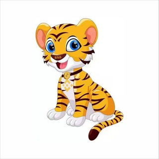 Telegram profile photo for BNBTiger Global Group