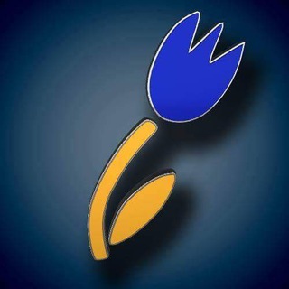Telegram profile photo for Українці в Нідерландах - Oekraïners in Nederland