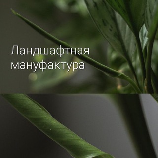Telegram profile photo for Ландшафтная мануфактура