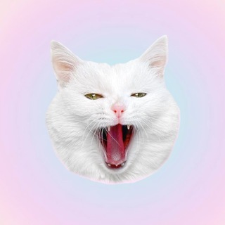 Telegram profile photo for SOFIADELMONSTRO