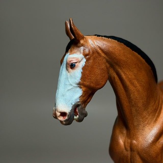 Telegram profile photo for ~riko’s model horses~