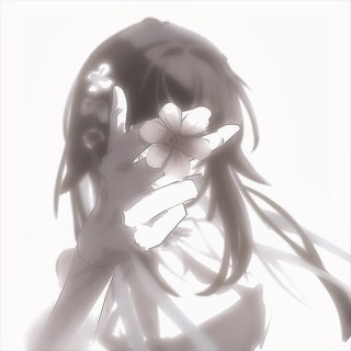 Telegram profile photo for -𝙨𝙖𝙠𝙪𝙧𝙖 𝙖𝙮𝙪𝙢𝙞.