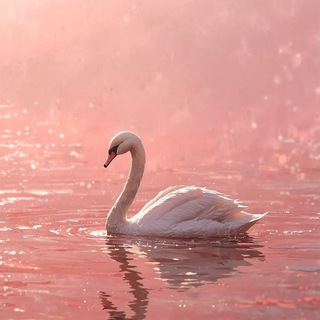 Telegram profile photo for یغما 🦢🫧
