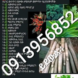 Telegram profile photo for መርጌታ የባህል ህክምናና መድሀኒት ቀማሚ