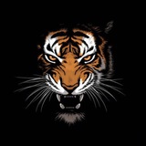 Telegram profile photo for India Tiger Official-Payment