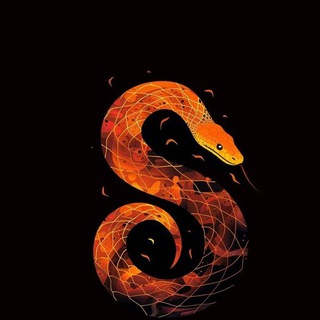 Telegram profile photo for SRShop