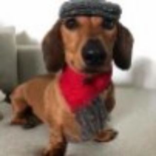 Telegram group profile photo for Ответы ОГЭ ЧАТ