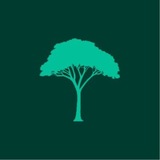 Telegram profile photo for Canopy Finance