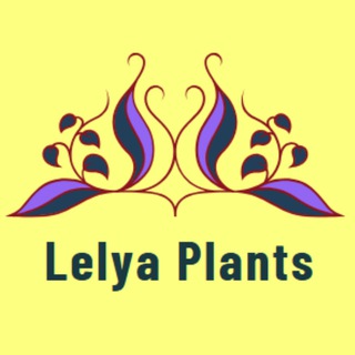 Telegram profile photo for Lelya Plants