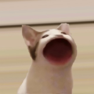 Telegram group profile photo for $POPCAT Official Group