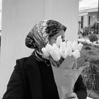 Telegram profile photo for ᷂المُهَنْدِسَةِ🦢.