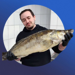 Telegram profile photo for Никита и Рыба