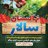Telegram profile photo for nahalestan_salar
