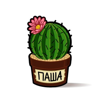 Telegram profile photo for Кактус Паша