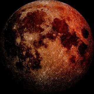 Telegram profile photo for 生物医学科技前线