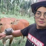 Telegram profile photo for JUYONAR SEDUNIA.