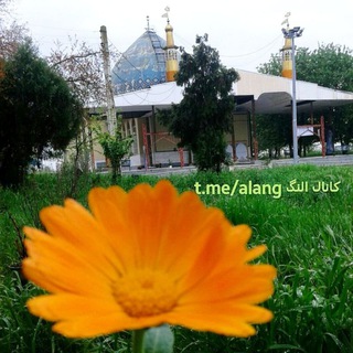 Telegram profile photo for الـنــگ