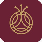 Telegram profile photo for موسسه انار زرین