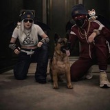Telegram profile photo for bulldozer