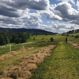 Telegram profile photo for Paradiesgartenhof Hochsauerland🌄🌱🍎🌹🍒🪷🍓🌳