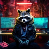 Telegram profile photo for 🐾RACCOON SECURITY🐾 - канал команды экспертов в области практической информационной безопасности и криптографии