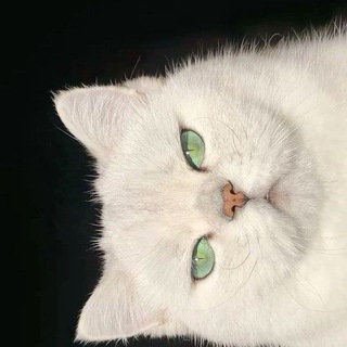 Telegram profile photo for مَهنوشت...