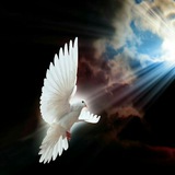 Telegram profile photo for کانال قطع نیکوتین مهرگان