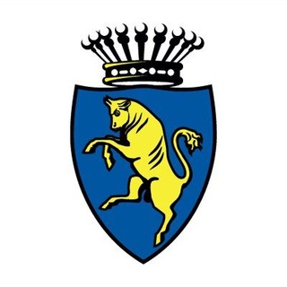 Telegram profile photo for Città di Torino