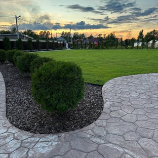 Telegram profile photo for Зелёный сезон
