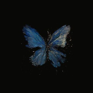 Telegram profile photo for مـجلـد مـورفـو 🦋.