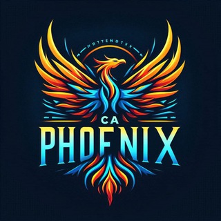 Telegram profile photo for CA Inter - Phoenix Accountants