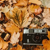 Telegram profile photo for ایردراپ