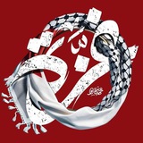 Telegram profile photo for الإيمان غزة الإسلام.فـلـسـطـيـن حـرة 🇵🇸 💎