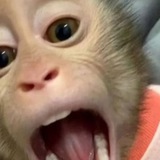 Telegram profile photo for Keep