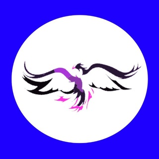 Telegram profile photo for DIRECT FOREX SIGNALS