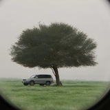 Telegram profile photo for نَجْد العتَيبي