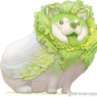 Telegram profile photo for 啰哩啰嗦分享频道