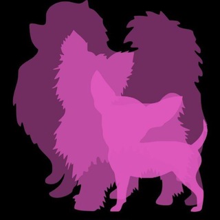 Telegram profile photo for Питомник Хелена’с Хаус