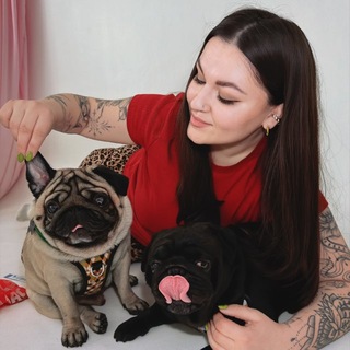 Telegram profile photo for Мопсы Саша и Браташа🐾