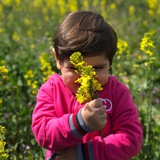 Telegram profile photo for Behnam Najafizadeh