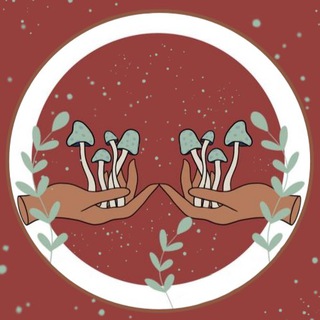 Telegram profile photo for Азбука грибника