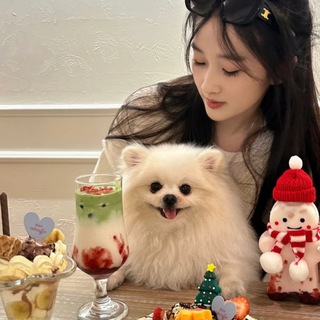Telegram profile photo for 礼礼¥顶尖群发
